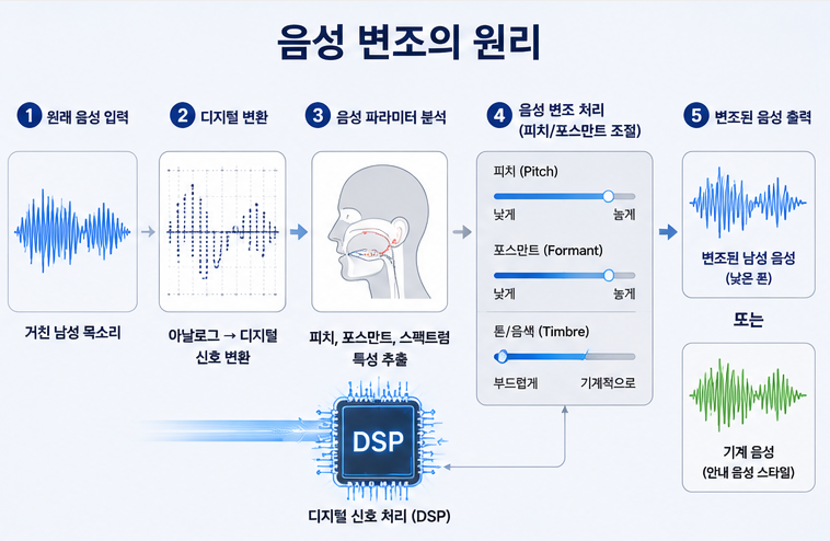 원래 음성 주파수 그래프가 디지털 신호 처리기(DSP)를 거치며 파형의 높낮이와 톤이 바뀌어 전혀 다른 목소리(남성음 또는 기계음)로 출력되는 단계를 묘사한 인포그래픽